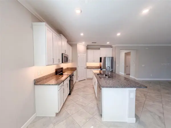 31351 CANNON RUSH DR, San Antonio, FL 33576