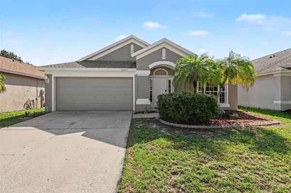 10317 HUNTERS HAVEN BLVD, Riverview, FL 33578