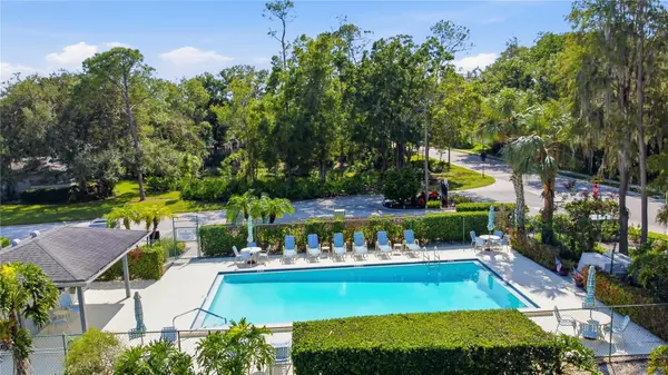 135 PINEWINDS BLVD, Oldsmar, FL 34677