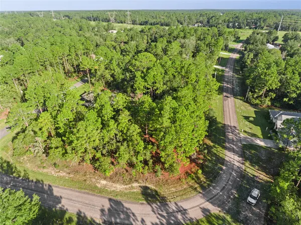 6698 N FOXDALE DR, Citrus Springs, FL 34434