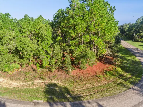 6698 N FOXDALE DR, Citrus Springs, FL 34434