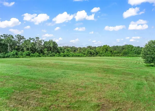 2239 SE 112TH AVE, Webster, FL 33597