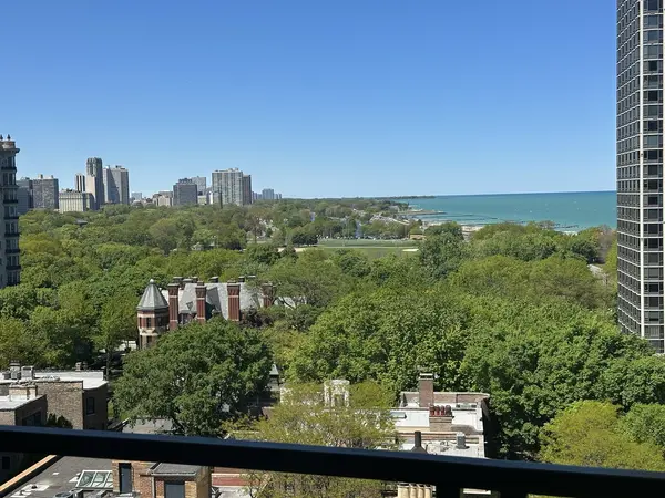 1450 N Astor ST #15AB, Chicago, IL 60610