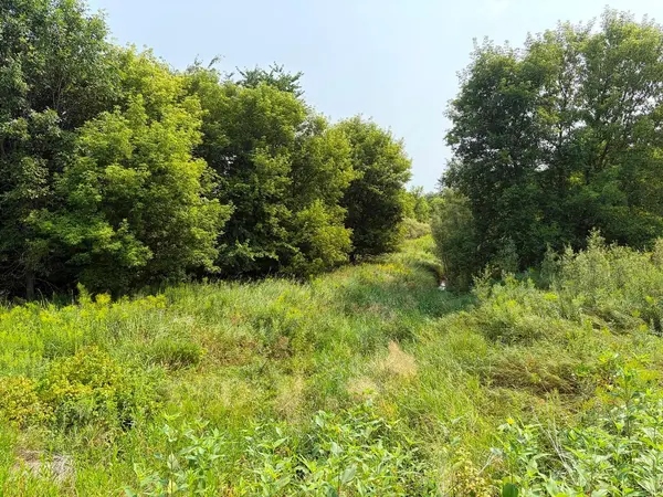 TBD Lands along 160th Ave & 315th St, Glenwood City, WI 54013