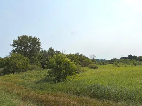 TBD Lands along 160th Ave & 315th St, Glenwood City, WI 54013