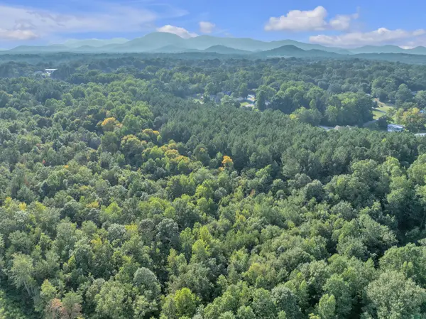 0 S Bomar AVE, Landrum, SC 29356
