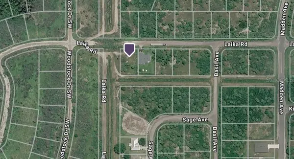 896 LAIKA RD SW, Palm Bay, FL 32908