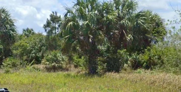 896 LAIKA RD SW, Palm Bay, FL 32908