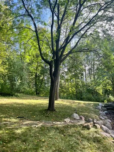 4320 Vinewood LN N, Plymouth, MN 55442