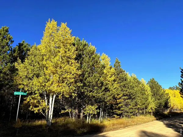 75 Overland, Ward, CO 80481