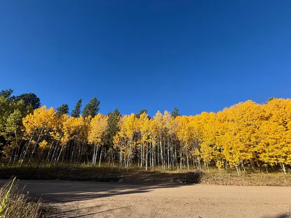 75 Overland, Ward, CO 80481
