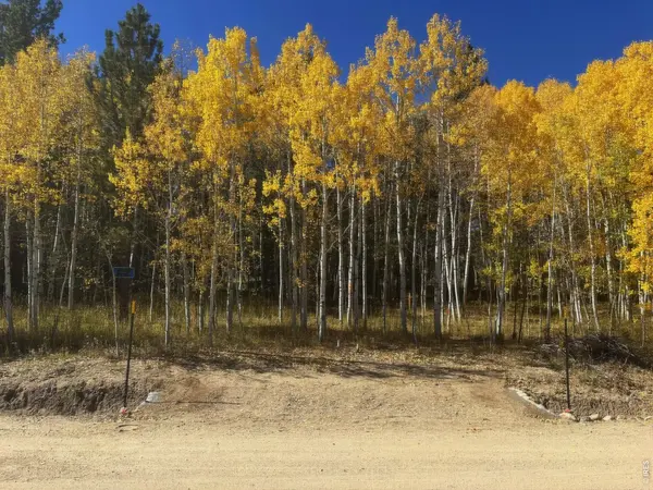 75 Overland, Ward, CO 80481