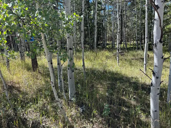 75 Overland, Ward, CO 80481