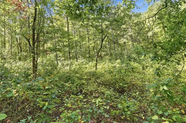 845 Ridgewood Drive, Mc Ewen, TN 37101