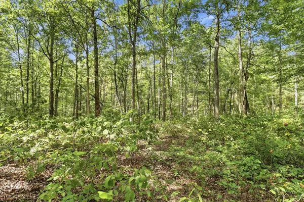 845 Ridgewood Drive, Mc Ewen, TN 37101