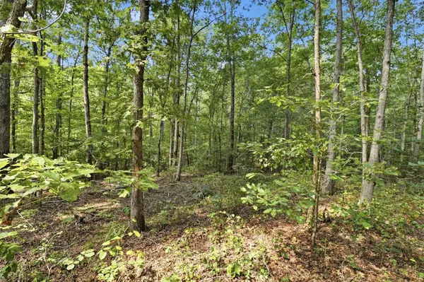 845 Ridgewood Drive, Mc Ewen, TN 37101