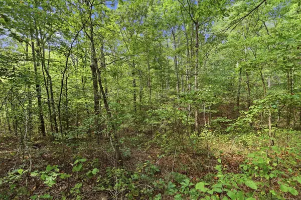 845 Ridgewood Drive, Mc Ewen, TN 37101