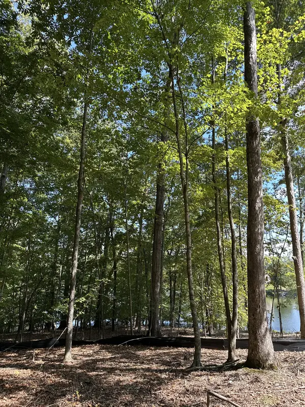 33 Heron Point, Tullahoma, TN 37388