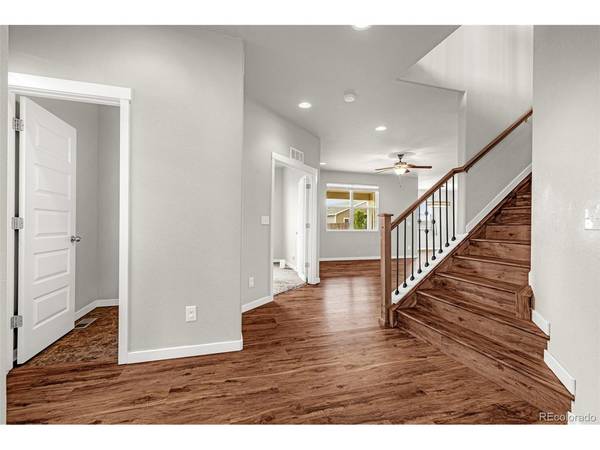 6345 Tramore, Colorado Springs, CO 80923