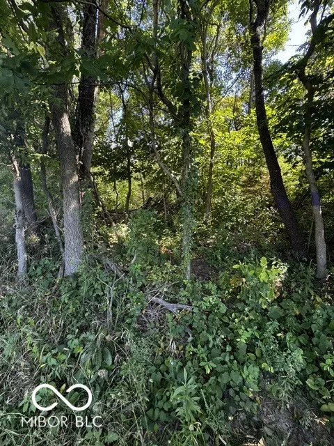 Lot #2 N 100 W, Perrysville, IN 47974