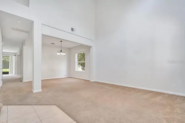 13324 JERVEY ST, Windermere, FL 34786