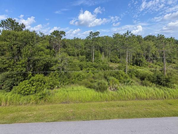 TOPEKA AVE, St Cloud, FL 34773