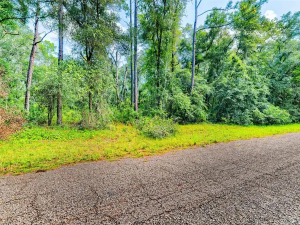 1135 E ODIN DR, Citrus Springs, FL 34434