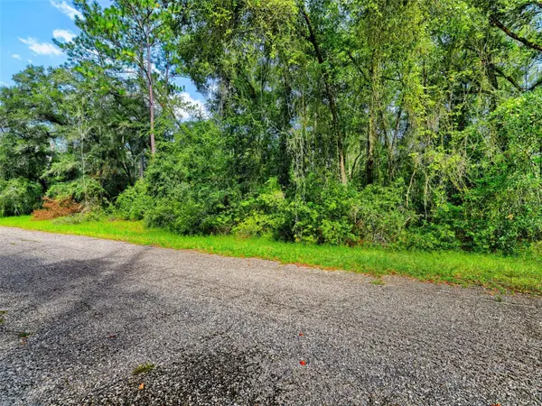 1135 E ODIN DR, Citrus Springs, FL 34434