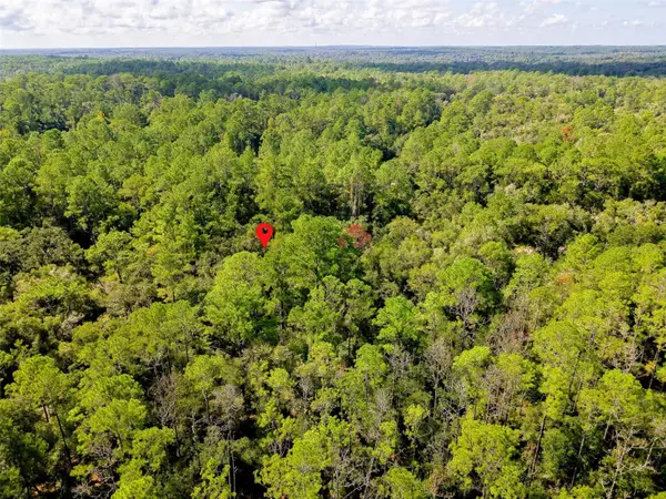 1163 E ODIN DR, Citrus Springs, FL 34434