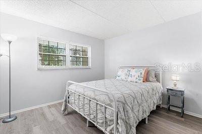 821 PATRICIA AVE #202, Dunedin, FL, 34698 photo 11