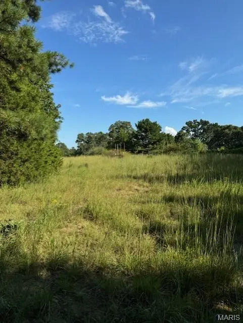 15620 Private Drive 1063, St James, MO 65559