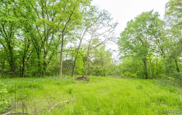 123 Bush DR, Zalma, MO 63787