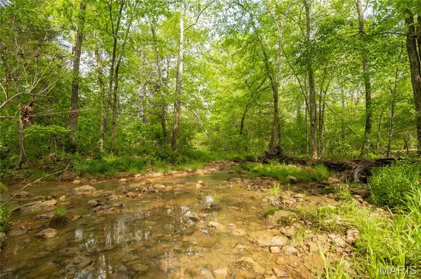 123 Bush DR, Zalma, MO 63787