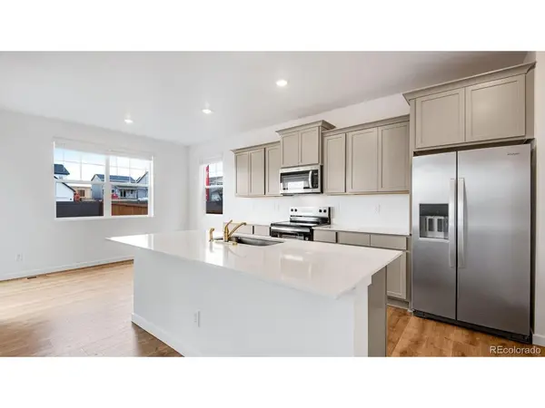 395 N Allium, Watkins, CO 80137