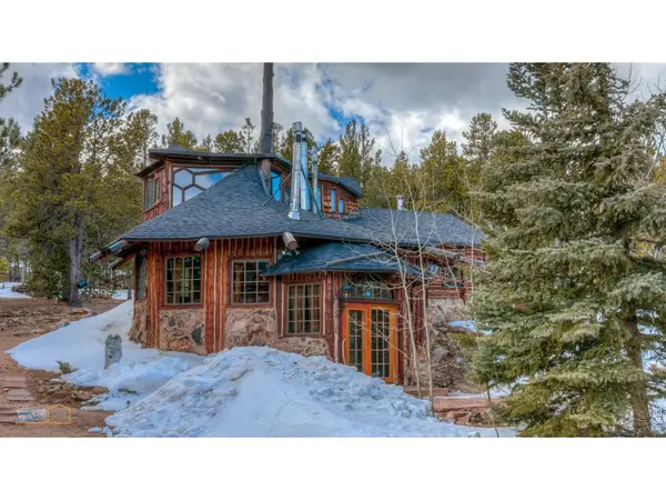1386 Gold Lake, Ward, CO 80481