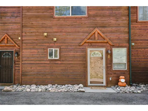 305 Virginia #B, Bailey, CO 80421