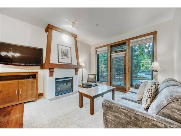 172 Beeler #109, Frisco, CO 80443