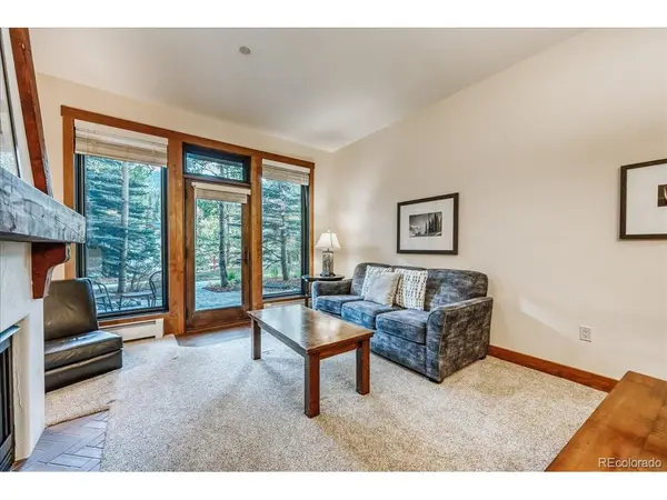 172 Beeler #109, Frisco, CO 80443