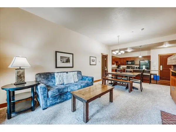172 Beeler #109, Frisco, CO 80443