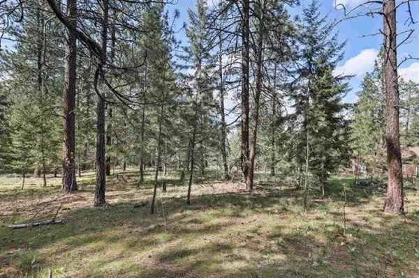 NKA Shelly (Parcel # 45354.0514) Ct, Veradale, WA 99037