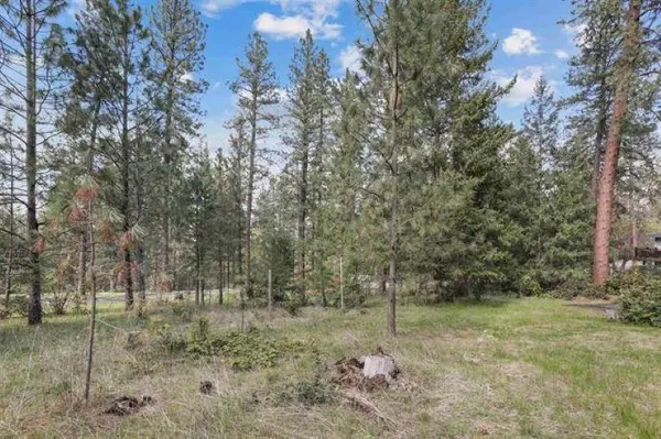 NKA Shelly (Parcel # 45354.0514) Ct, Veradale, WA 99037