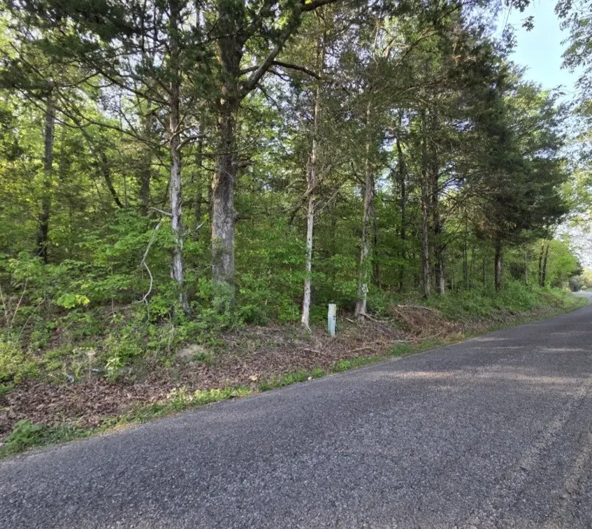 0 Red Bank Creek Road, Lobelville, TN 37097