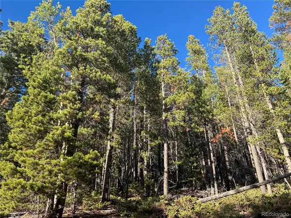 3160 Purnell, Fort Garland, CO 81133