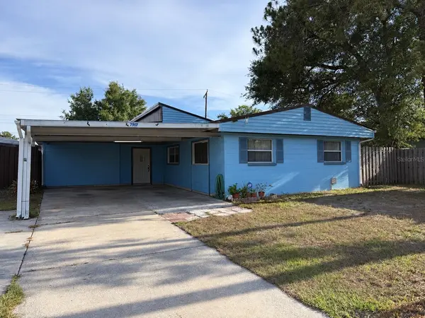7917 RIDEOUT RD, Tampa, FL 33619