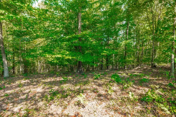 0 Spring Hollow Rd, Lafayette, TN 37083