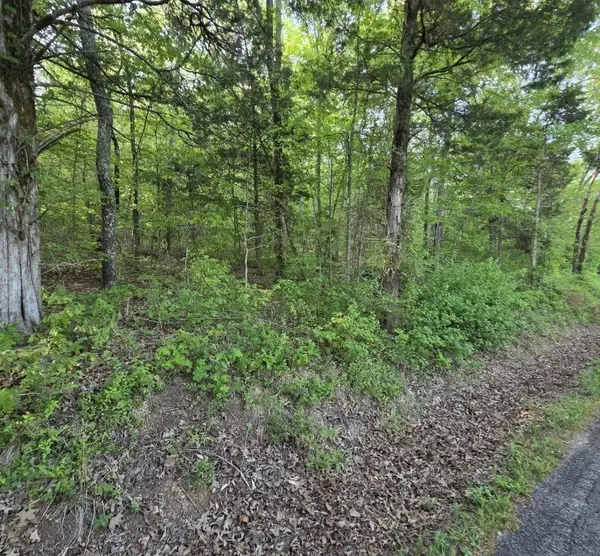 0 Red Bank Creek Road, Lobelville, TN 37097