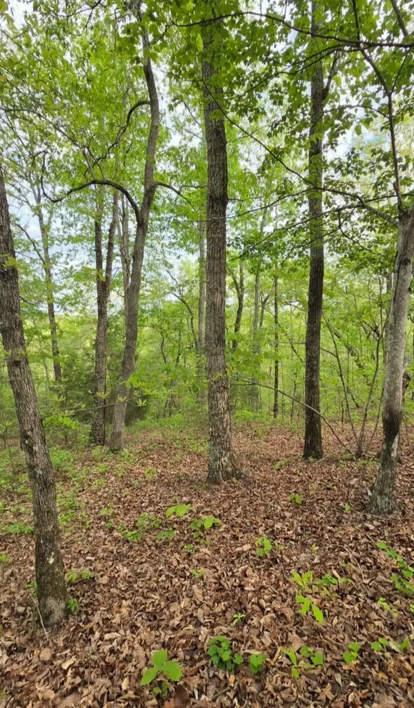 0 Red Bank Creek Road, Lobelville, TN 37097