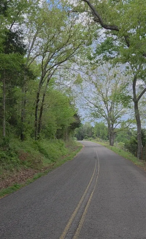 0 Red Bank Creek Road, Lobelville, TN 37097