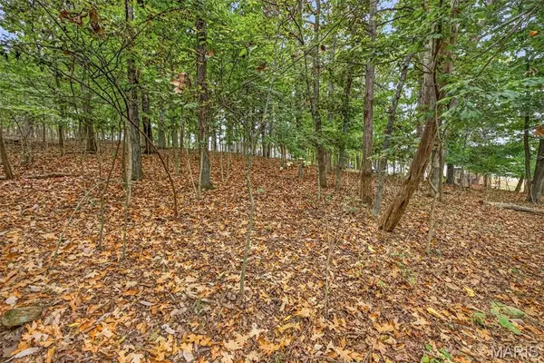 lot 66A Lake Hill Trail, Hillsboro, MO 63050