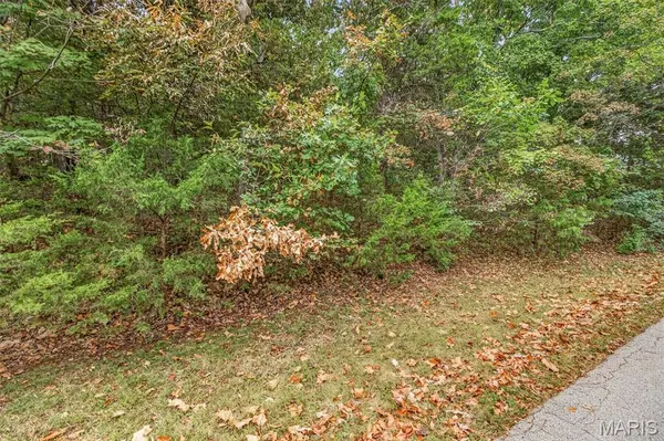 lot 66A Lake Hill Trail, Hillsboro, MO 63050